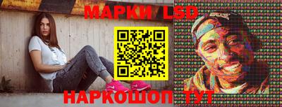 индика Новодвинск