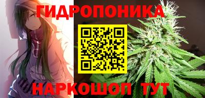 индика Новодвинск