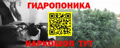 индика Новодвинск