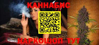 индика Новодвинск