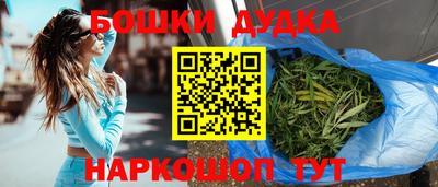 индика Новодвинск