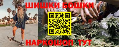 индика Новодвинск
