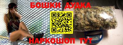 индика Новодвинск