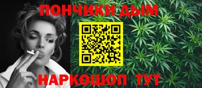 индика Новодвинск