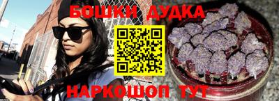 индика Новодвинск