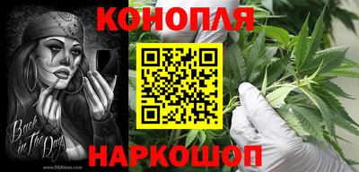 индика Новодвинск
