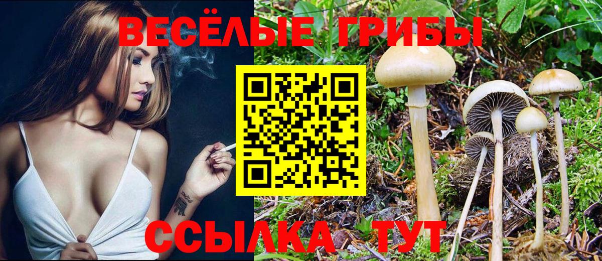 Галлюциногенные грибы Magic Shrooms Электрогорск