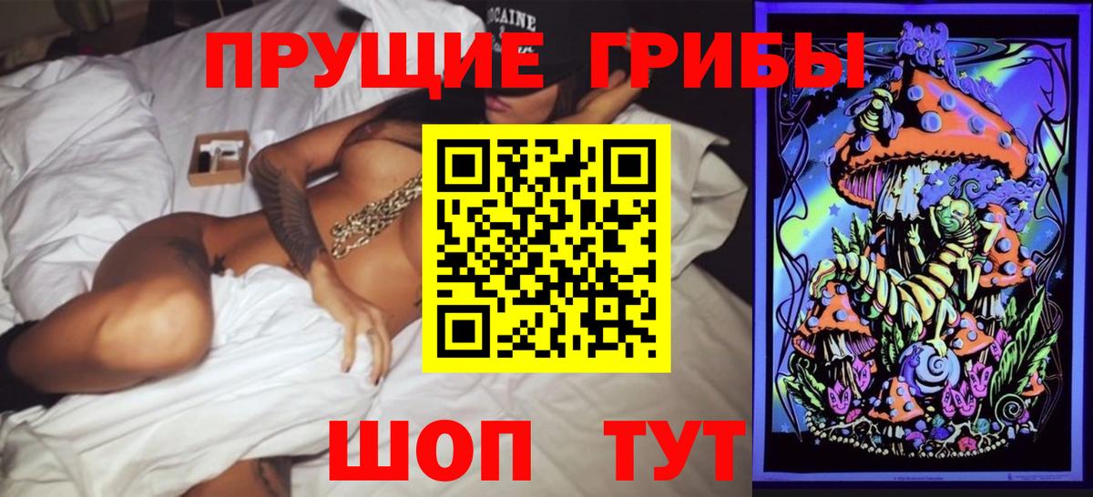 Галлюциногенные грибы Psilocybine cubensis  Вход с VPN  Электрогорск 